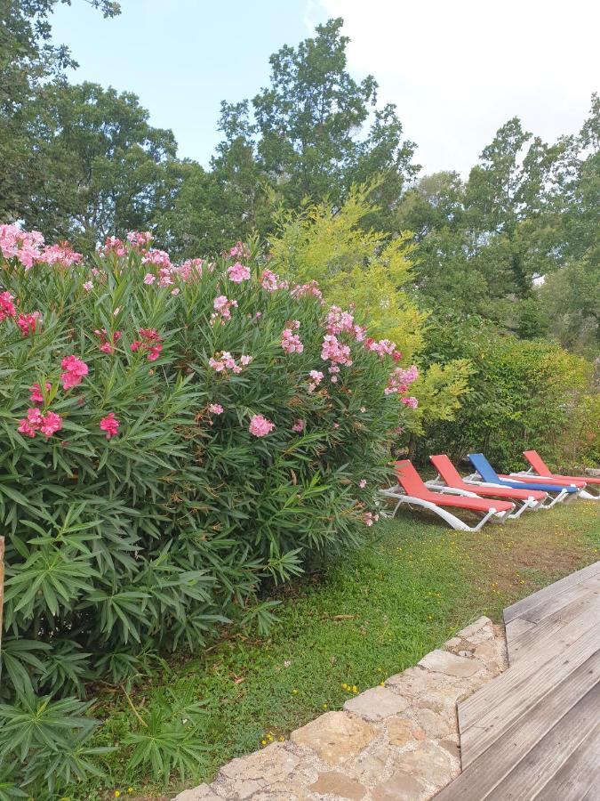 B&B L'Albatros Fayence Exterior photo