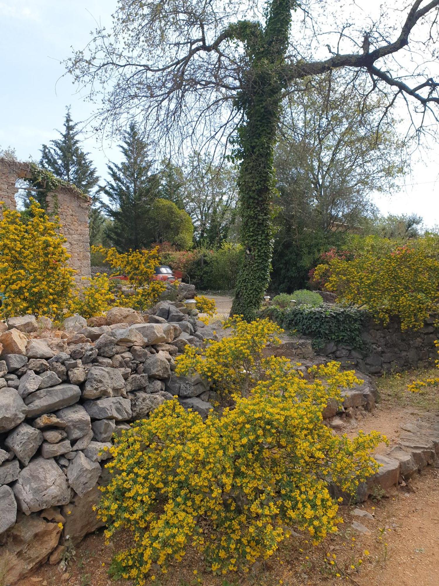 B&B L'Albatros Fayence Exterior photo